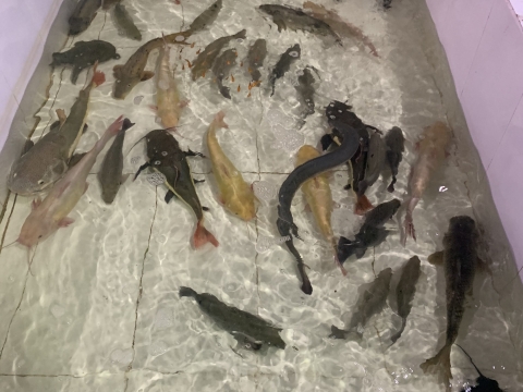 Hải Sản Tươi Sống chất lượng cao