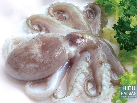 Hải Sản Tươi Sống chất lượng cao